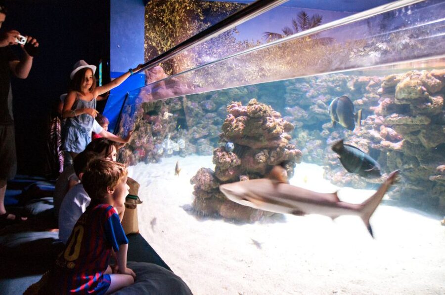 Mallorca: Palma Aquarium Tickets with Transfer - Meeting at Avinguda de la Platja, 13