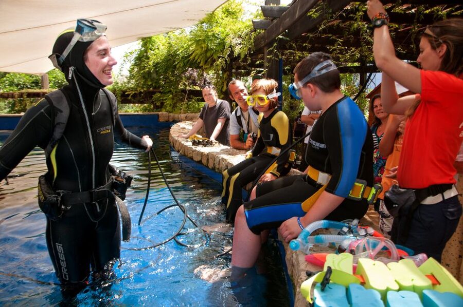 Mallorca: Palma Aquarium Tickets with Transfer - Old World, New World, and the Jungle
