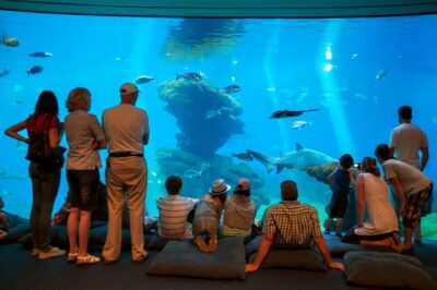 Palma Aquarium Tickets with Transfer