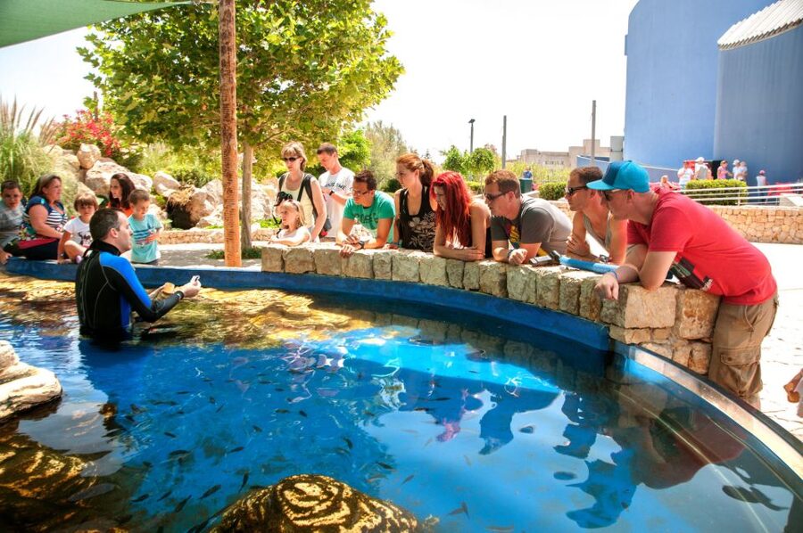 Mallorca: Palma Aquarium Tickets with Transfer - Mediterranean Gardens and the Rooftop Garden