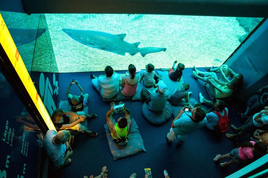 Mallorca: Palma Aquarium Tickets with Transfer - The Pirate Ship and Water Battle