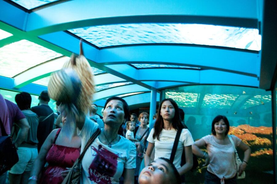 Mallorca: Palma Aquarium Tickets with Transfer - How the $55 Price Measures Up