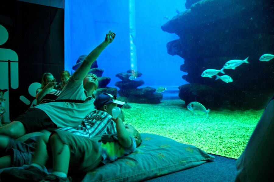 Mallorca: Palma Aquarium Tickets with Transfer - Who Will Enjoy This Most