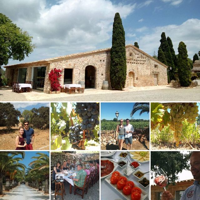 Mallorca: Private Wine Tour with Tasting and Picnic - Key points to know before booking