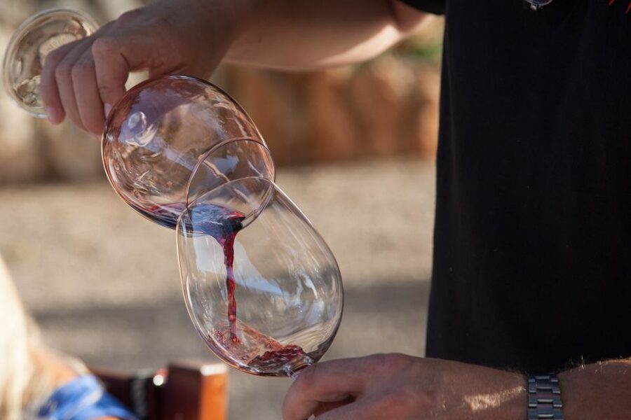 Mallorca: Private Wine Tour with Tasting and Picnic - Leaving the coast for Mallorca’s vineyard country