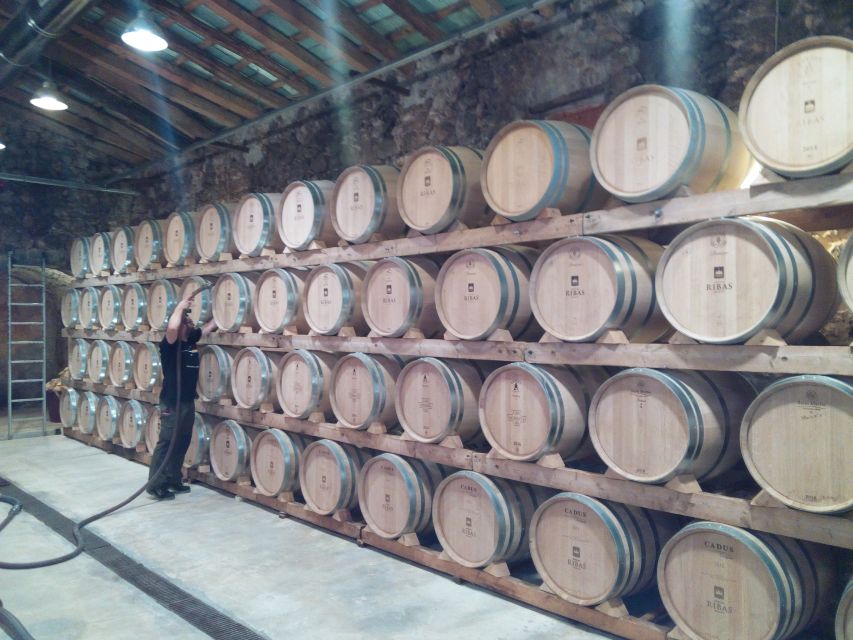 Mallorca: Private Wine Tour with Tasting and Picnic - How the $210 price works for your group