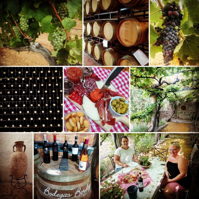 Mallorca: Private Wine Tour with Tasting and Picnic - Who will enjoy this vineyard outing most?