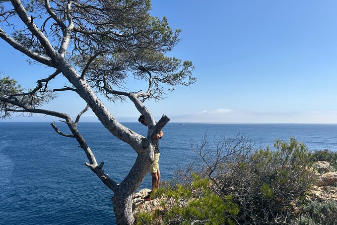Mallorca Secret Coves Land Rover Private Tour - What the old Land Rover adds, and what it takes away
