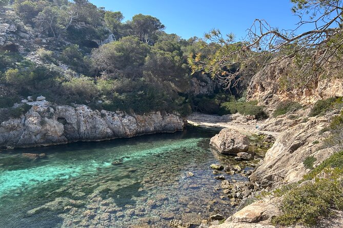 Mallorca Secret Coves Land Rover Private Tour - A guide-led day with room for flexibility