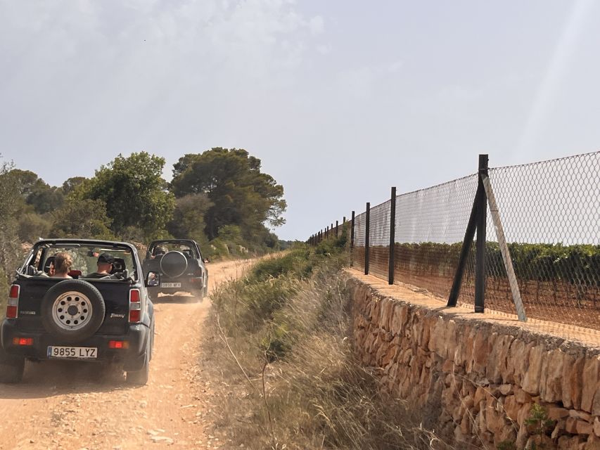 Mallorca: Self Drive 4x4 Jeepsafari Tour - Starting at La Terraza