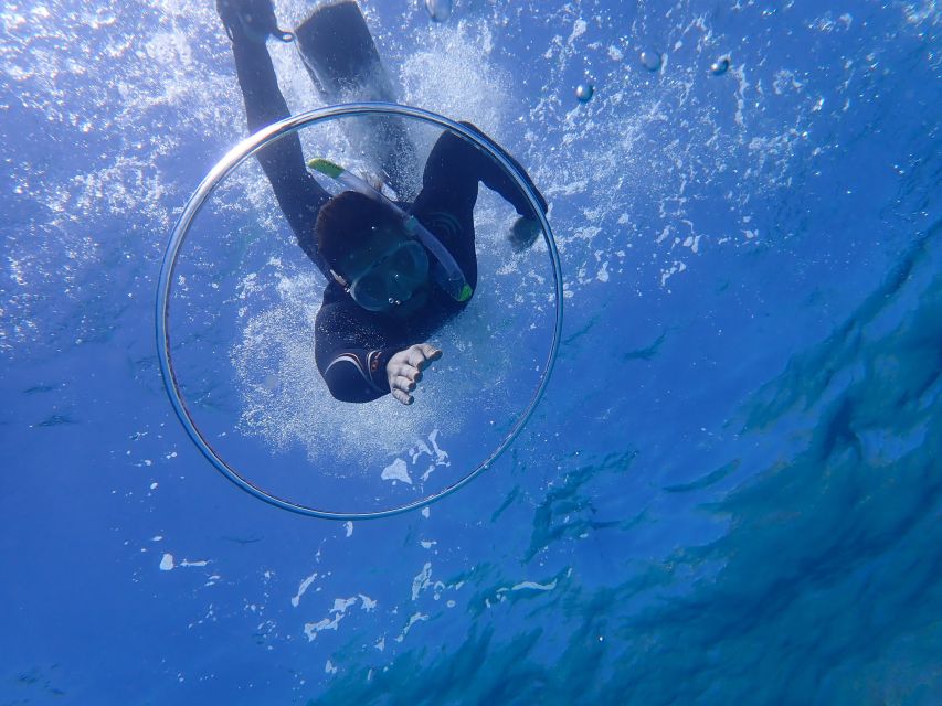 Mallorca: Snorkeling in a Beautiful Nature Reserve - Exploring fish, rocks, and the protected cove