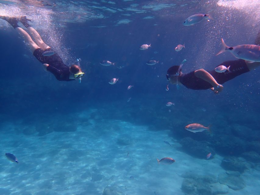 Mallorca: Snorkeling in a Beautiful Nature Reserve - Why the small group changes the experience