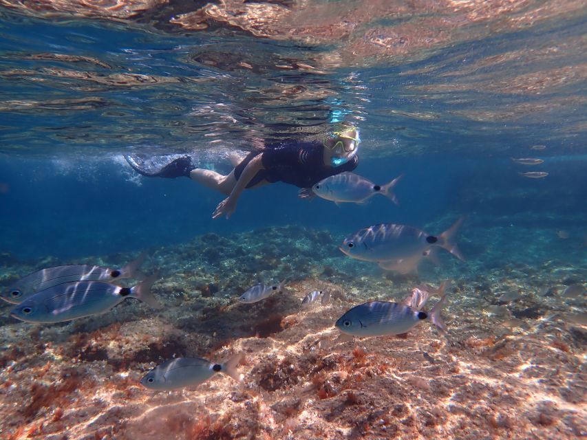 Mallorca: Snorkeling in a Beautiful Nature Reserve - How much time you actually spend snorkeling