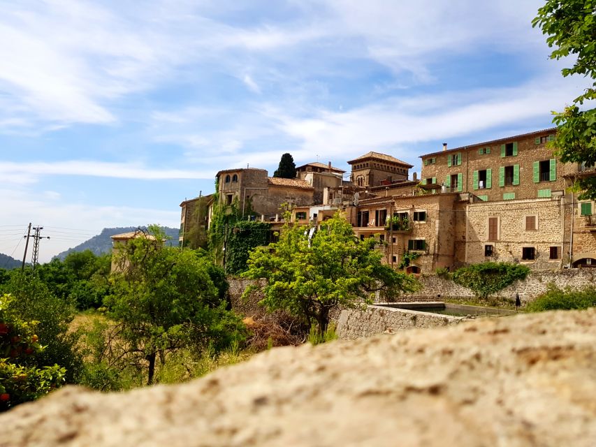 Mallorca: Soller Port and Valldemossa - The guide makes the difference