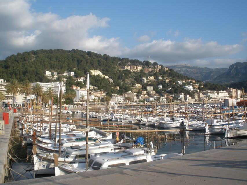 Mallorca: Soller Port and Valldemossa - Is Sóller Port worth the second stop?