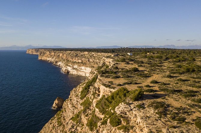 Mallorca Southern cliffs and the Salt Marshes guided Tour - Key details before you book