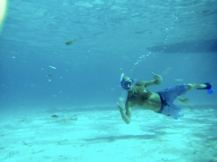 Mallorca : Speedboat, Snorkelling and Swimming Adventure - Pack smart for the 1.5-hour outing