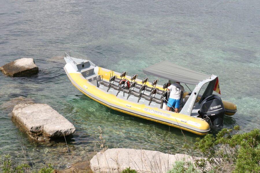 Mallorca : Speedboat, Snorkelling and Swimming Adventure - Seeing Formentor beach, villas, and the lighthouse