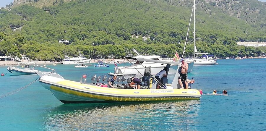 Mallorca : Speedboat, Snorkelling and Swimming Adventure - The cave stop and its stalactites
