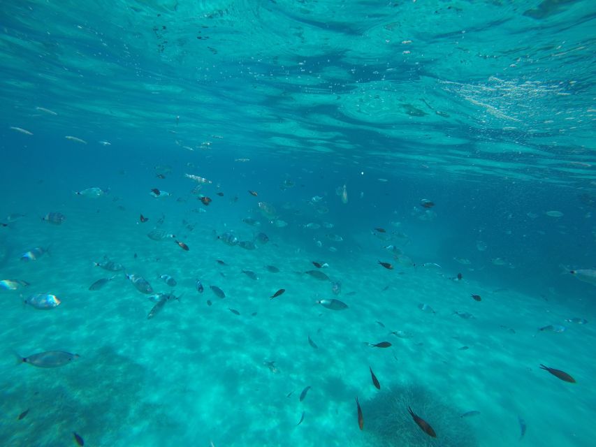 Mallorca : Speedboat, Snorkelling and Swimming Adventure - When the sea changes the plan