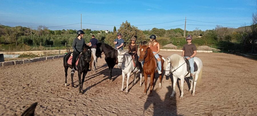 Mallorca: Sunset Horseback Ride with Drinks - The Return Through Randa After Dark