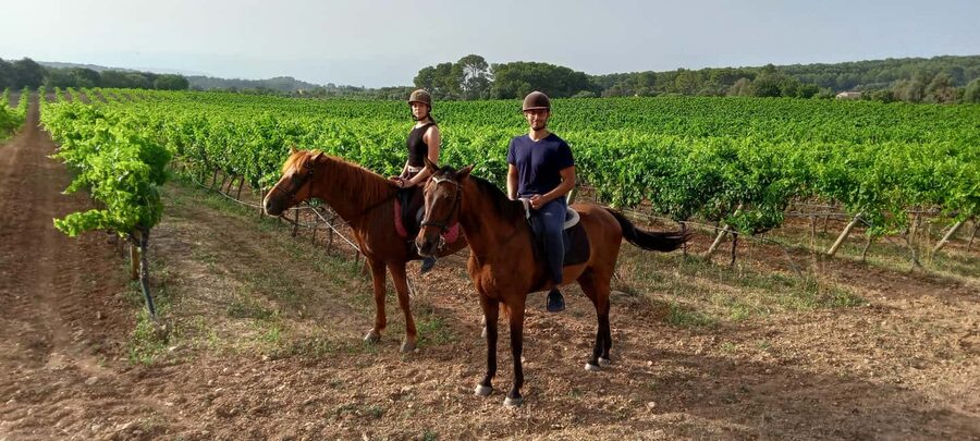 Mallorca: Sunset Horseback Ride with Drinks - How the Instruction Works for Beginners