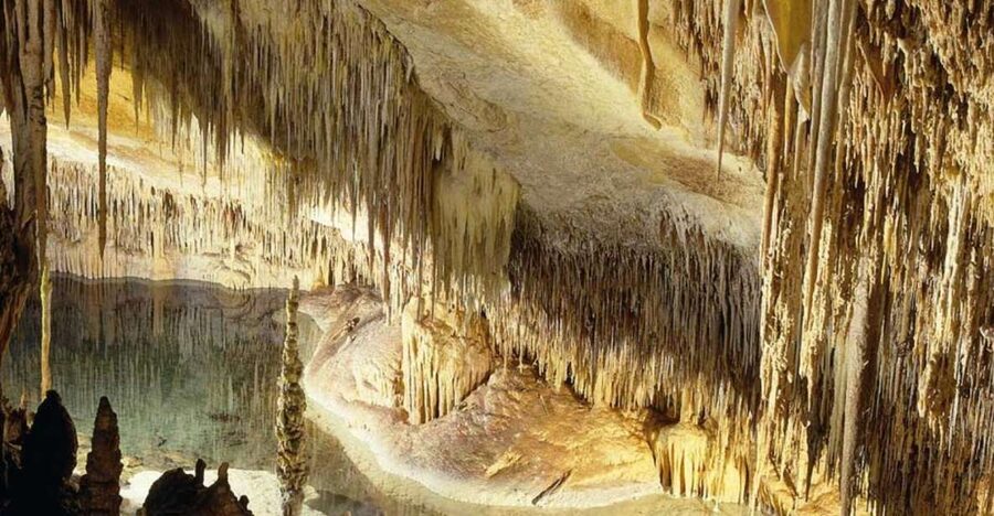 Mallorca: Ticket for Caves of Drach with Pickup Service - Entering after 121 steps