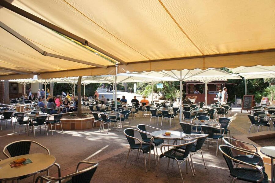 Mallorca: Ticket for Caves of Drach with Pickup Service - The 10-minute classical recital at Lake Martel