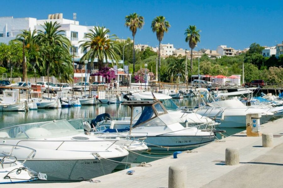 Mallorca: Ticket for Caves of Drach with Pickup Service - Boat or bridge across Lake Martel