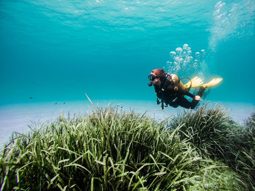 Mallorca: Try Scuba Diving by Boat - What makes the instruction valuable
