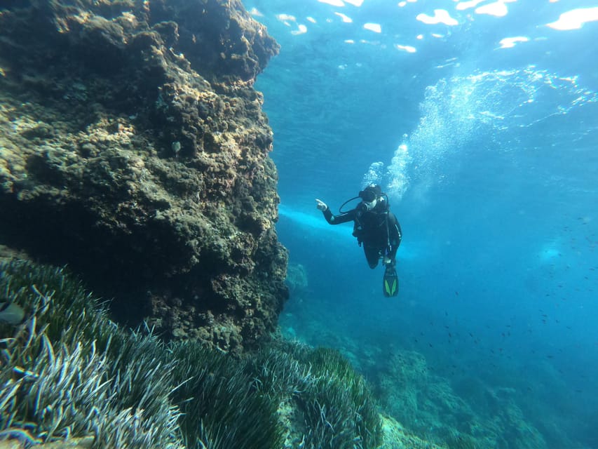 Mallorca: Try Scuba Diving by Boat - Practical planning for your Mallorca day