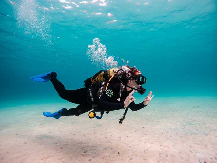 Mallorca: Try Scuba Diving by Boat - The main trade-offs