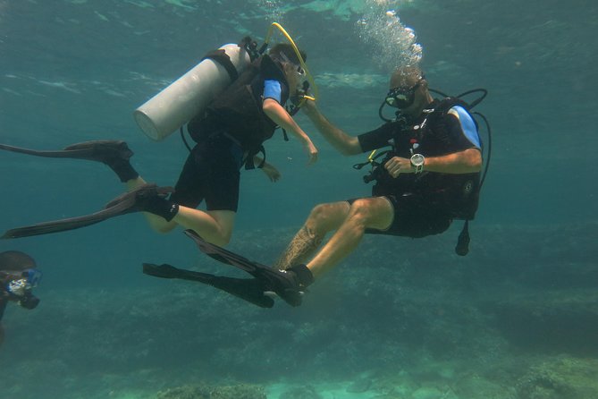Mallorca: Try Scuba Diving in a Beautiful Nature Reserve - What the 3.5-hour Mallorca session is really like