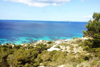 Try Scuba Diving in a Beautiful Nature Reserve