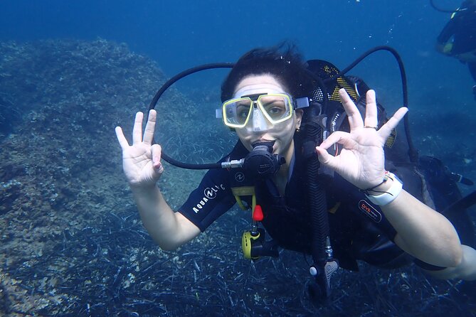 Mallorca: Try Scuba Diving in a Beautiful Nature Reserve - Who will enjoy this most