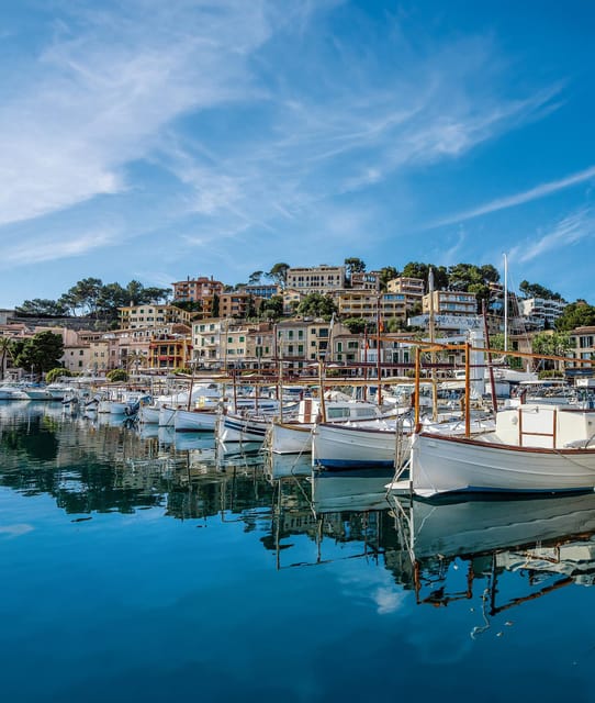 Mallorca: Valdemossa and Port of Soller Coca of Potato - Who will enjoy this tour most