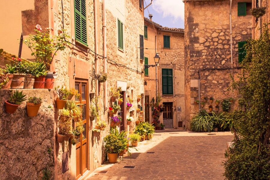 Mallorca: Valldemossa & Soller Tour - Is $51 a fair price?