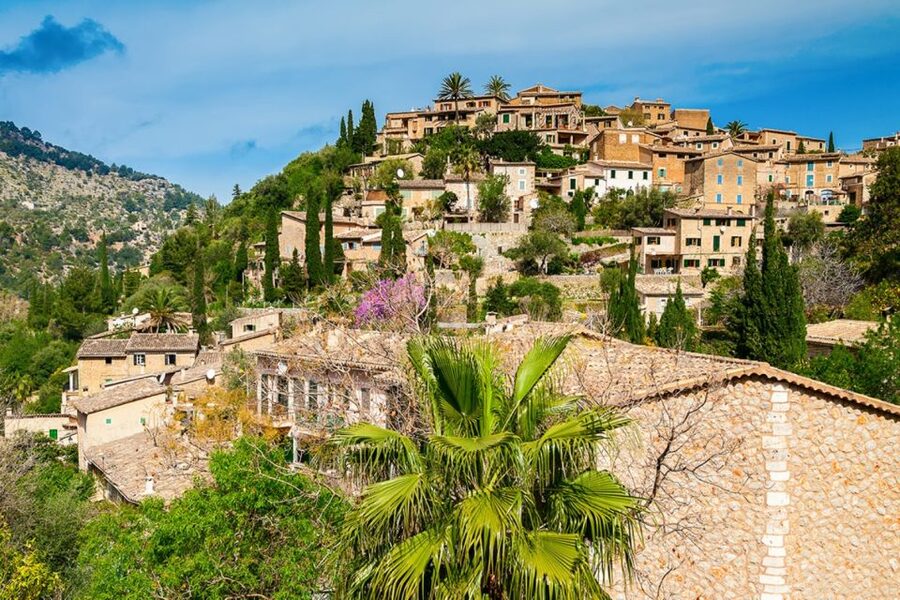 Mallorca: Valldemossa & Soller Tour - Who should choose this excursion?