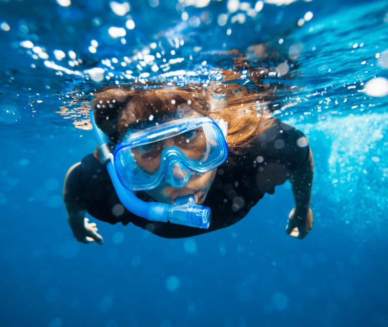 Mallorca: Visit Palma Speedboat adrenaline & snorkelling - A good contrast to Palma’s city sights