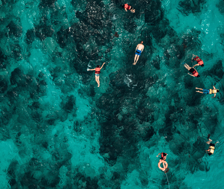 Mallorca: Visit Palma Speedboat adrenaline & snorkelling - The swim and snorkel stop in Palma Bay