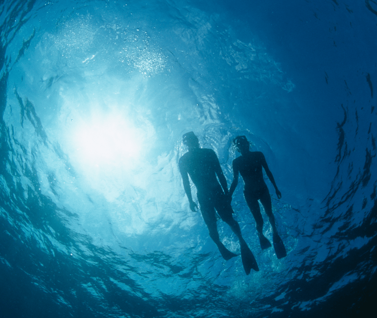 Mallorca: Visit Palma Speedboat adrenaline & snorkelling - Who will enjoy this most