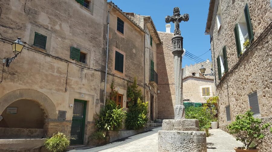 Mallorca: West Coast & Orange Valley Minbustour GERMAN GUIDE - Who should book this day