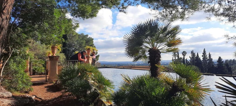 Mallorca: West Coast & Orange Valley Minbustour GERMAN GUIDE - Sóller and the orange valley