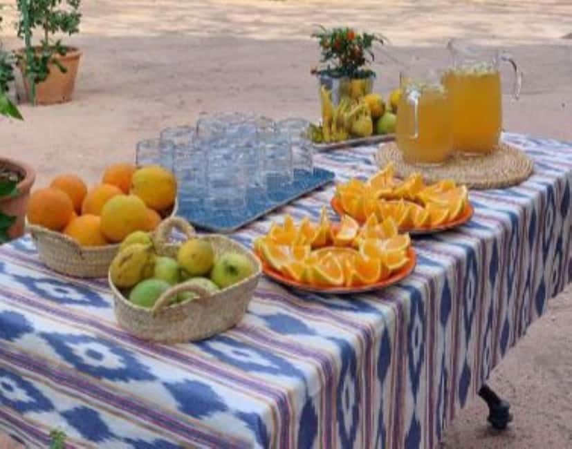 Mallorca: West Coast & Orange Valley Minbustour GERMAN GUIDE - The guide and the small-group feel