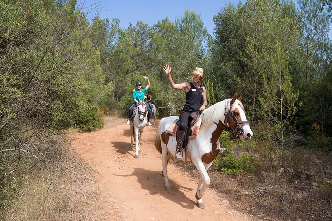 Mallorca Wine and Cheese Tasting - The ranch and horse-riding confusion