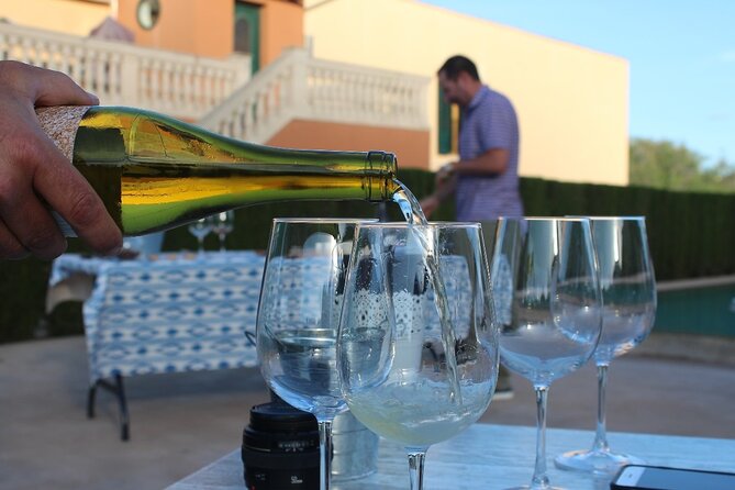 Mallorca Wine and Cheese Tasting - Practical details before you go