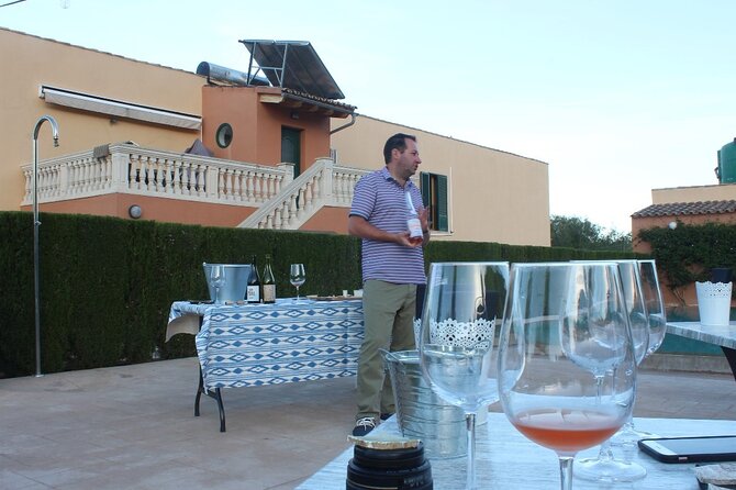 Mallorca Wine and Cheese Tasting - How the tasting unfolds in Port d’Alcudia