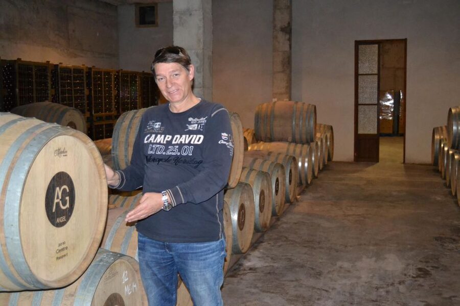 Mallorca: Wine Cellar Tour XL - 3 Wine Tastings incl. GERMAN - Practical tips for a better day