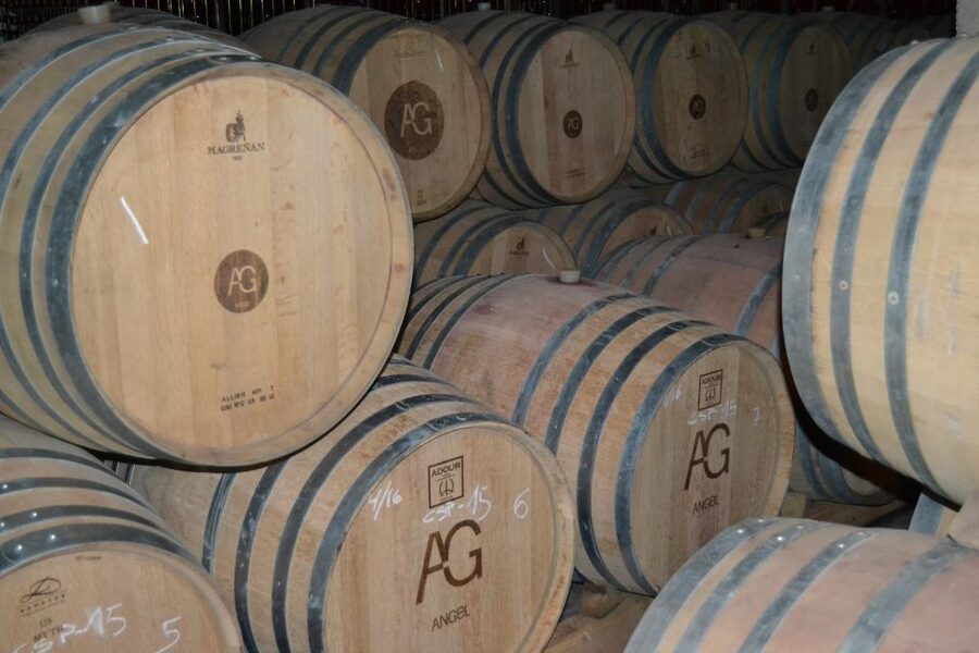 Mallorca: Wine Cellar Tour XL - 3 Wine Tastings incl. GERMAN - Second cellar: local wine with tapas and olive oil