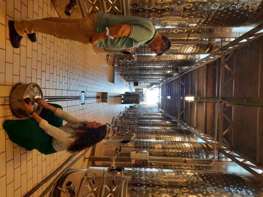 Mallorca: Wine Cellar Tour XL - 3 Wine Tastings incl. GERMAN - Third cellar: the final tasting and regional food